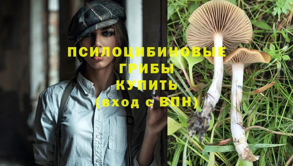 марки nbome Верхнеуральск