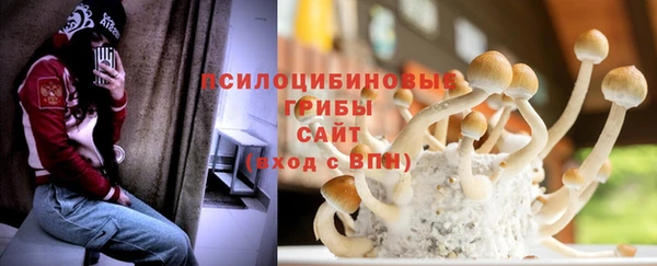 спиды Волосово